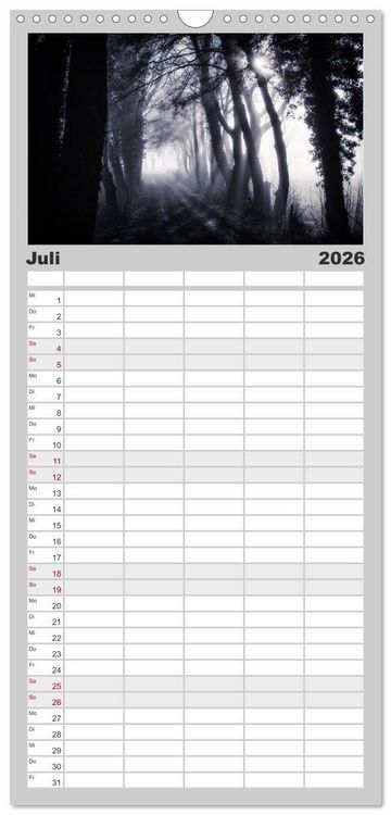 Produktbild: Familienplaner 2026 - Mystische W&auml;lder mit 5 Spalten (Wandkalender, 21 x 45 cm) CALVENDO