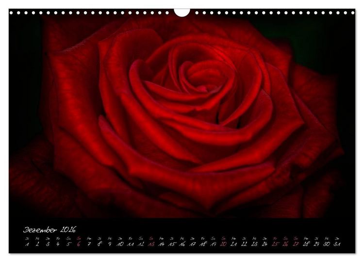 Produktbild: Serenade - Visuelle Musik der Blumen (Wandkalender 2026 DIN A3 quer), CALVENDO Monatskalender