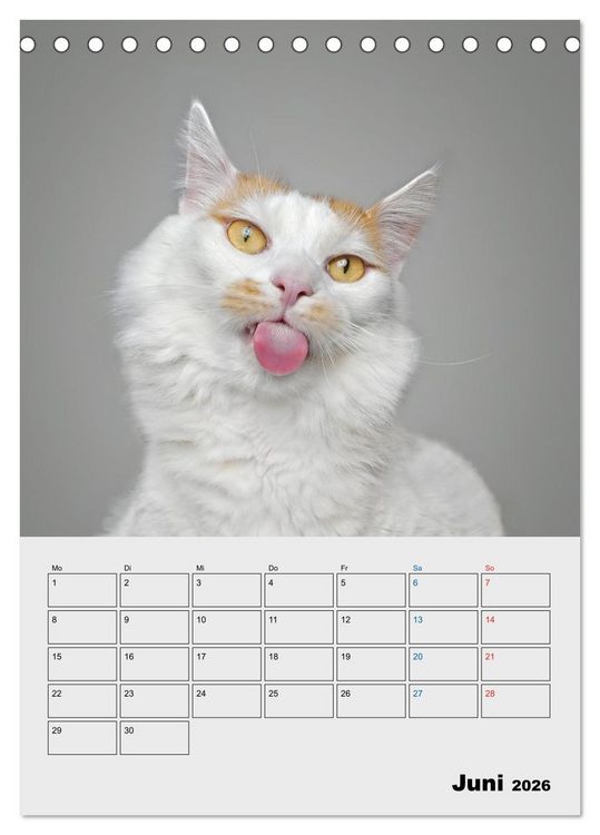 Produktbild: Crazy Catz. (Tischkalender 2026 DIN A5 hoch), CALVENDO Monatskalender