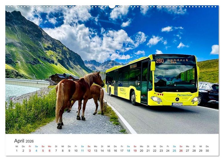 Produktbild: Omnibusse im Fokus (Wandkalender 2026 DIN A2 quer), CALVENDO Monatskalender