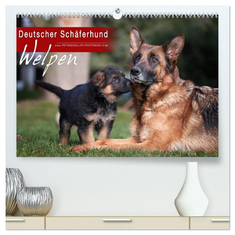 Produktbild: Deutscher Sch&auml;ferhund - Welpen (hochwertiger Premium Wandkalender 2026 DIN A2 quer), Kunstdruck in Hochglanz