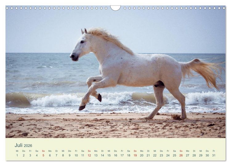 Produktbild: PFERDE & MEER (Wandkalender 2026 DIN A3 quer), CALVENDO Monatskalender