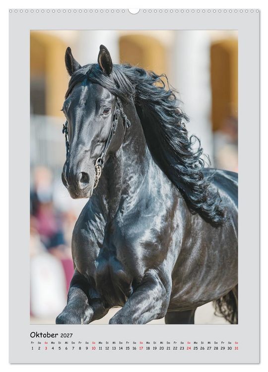 Produktbild: Friesenpferde. Schwarze Eleganz in der Natur (Wandkalender 2027 DIN A2 hoch), CALVENDO Monatskalender