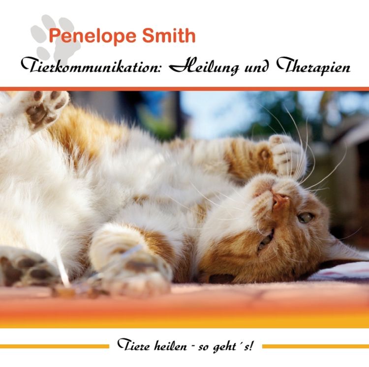 Produktbild: Tierkommunikation: Heilung und Therapien