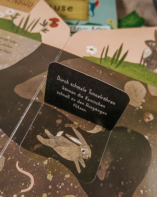 Produktbild: Mein Zuhause - Kaninchen, Fuchs und Adler