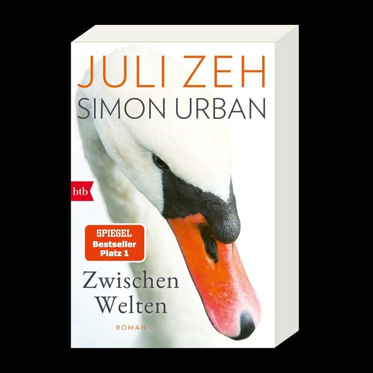 Produktbild: Zwischen Welten