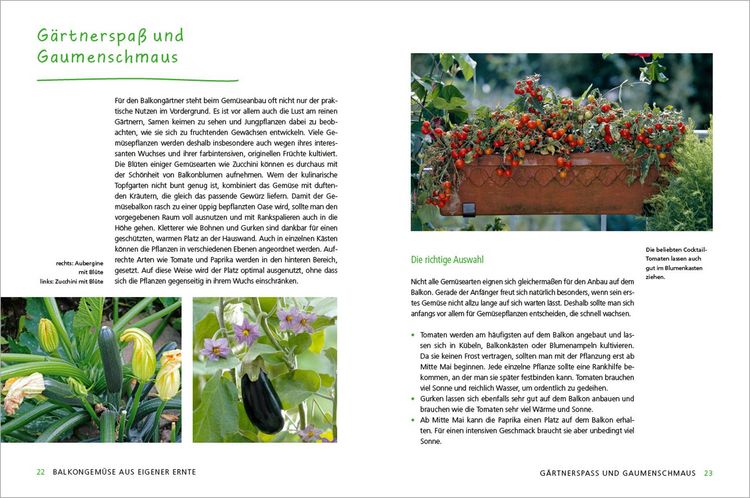 Produktbild: Alles Bio vom Balkon. Obst, Gem&uuml;se und Kr&auml;uter selber ziehen.