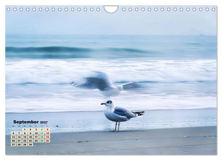 Produktbild: Minimal-Art - am Strand (Wandkalender 2027 DIN A4 quer), CALVENDO Monatskalender
