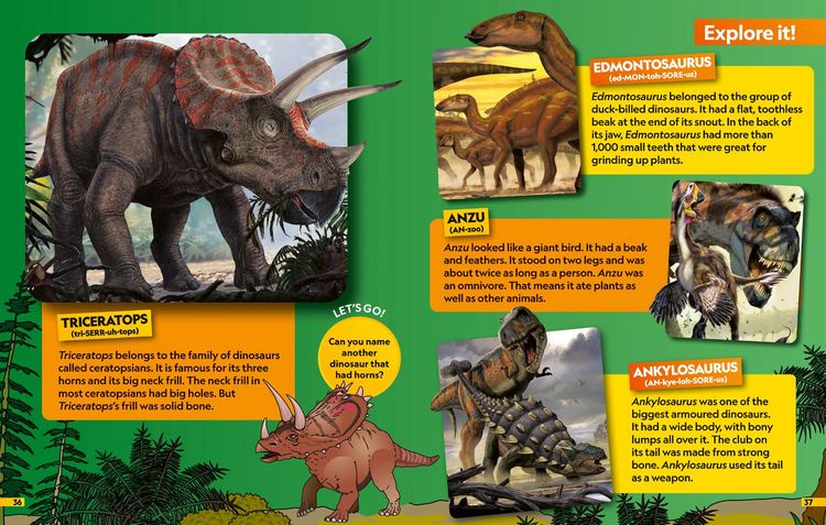 Produktbild: Dinosaurs Find it! Explore it!