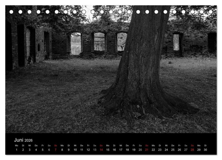 Produktbild: B&auml;ume trees 2026 (Tischkalender 2026 DIN A5 quer), CALVENDO Monatskalender