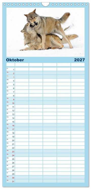 Produktbild: Familienplaner 2027 - Kanadische W&ouml;lfe im Winter mit 5 Spalten (Wandkalender, 21 x 45 cm) CALVENDO
