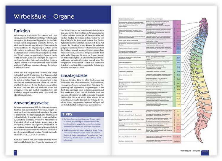 Produktbild: Praxisbuch Neue Hom&ouml;opathie