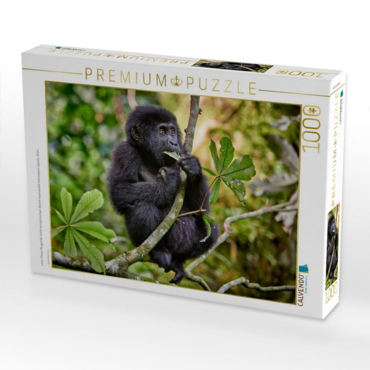 Produktbild: CALVENDO Puzzle s&uuml;sser kleiner Berggorilla, Gorilla beringei beringei, Bwindi Impenetrable Nationalpark, Uganda, Afrika | 1000 Teile Lege-Gr&ouml;&szlig;e 64x48cm Foto-Puzzle f&uuml;r gl&uuml;ckliche Stunden