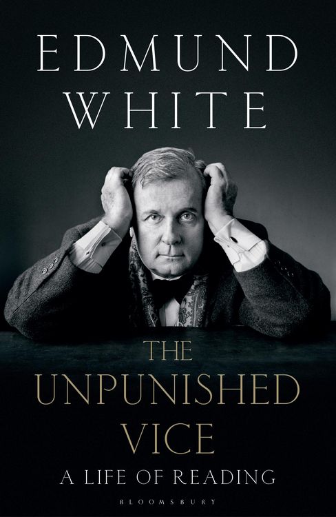 Produktbild: The Unpunished Vice