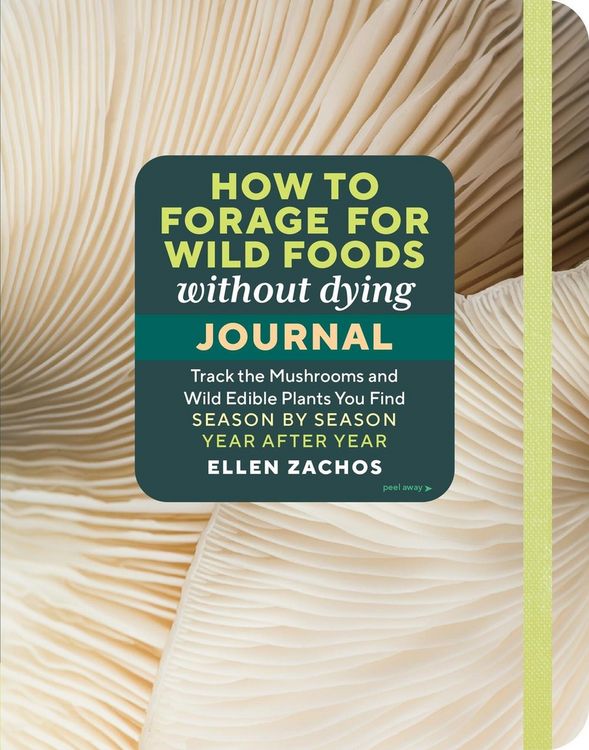 Produktbild: How to Forage for Wild Foods Without Dying Journal