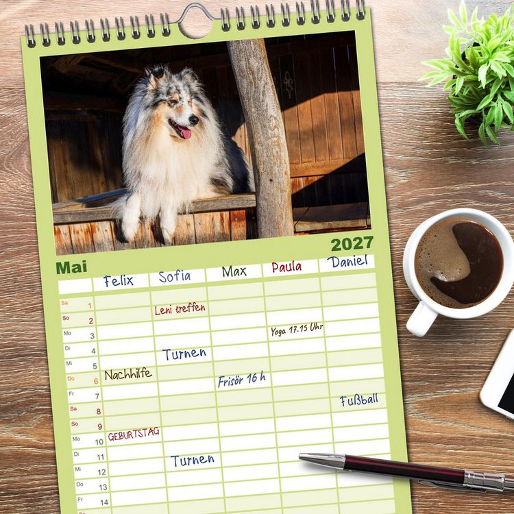 Produktbild: Familienplaner 2027 - Traumhund Collie - Mein bester Freund mit 5 Spalten (Wandkalender, 21 x 45 cm) CALVENDO