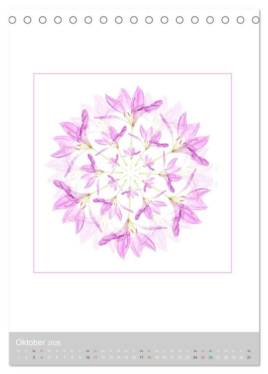 Produktbild: Pflanzen - Mandalas aus Bl&uuml;ten und Bl&auml;ttern (Tischkalender 2026 DIN A5 hoch), CALVENDO Monatskalender