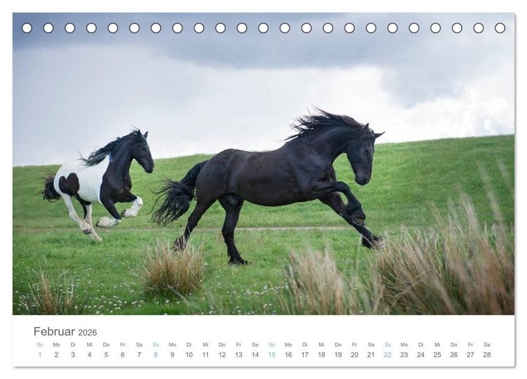 Produktbild: Juist - mein T&ouml;werland (Tischkalender 2026 DIN A5 quer), CALVENDO Monatskalender