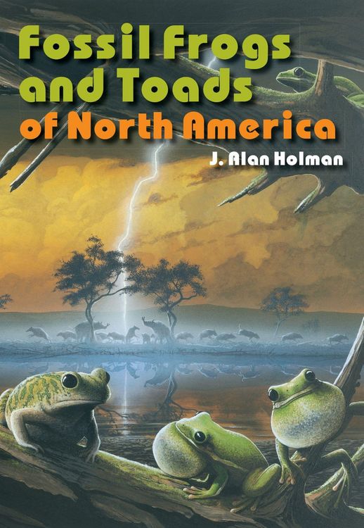 Produktbild: Fossil Frogs and Toads of North America