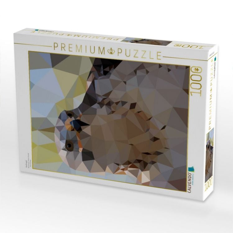 Produktbild: CALVENDO Puzzle Greifvogel | 1000 Teile Lege-Gr&ouml;&szlig;e 64x48cm Foto-Puzzle f&uuml;r gl&uuml;ckliche Stunden