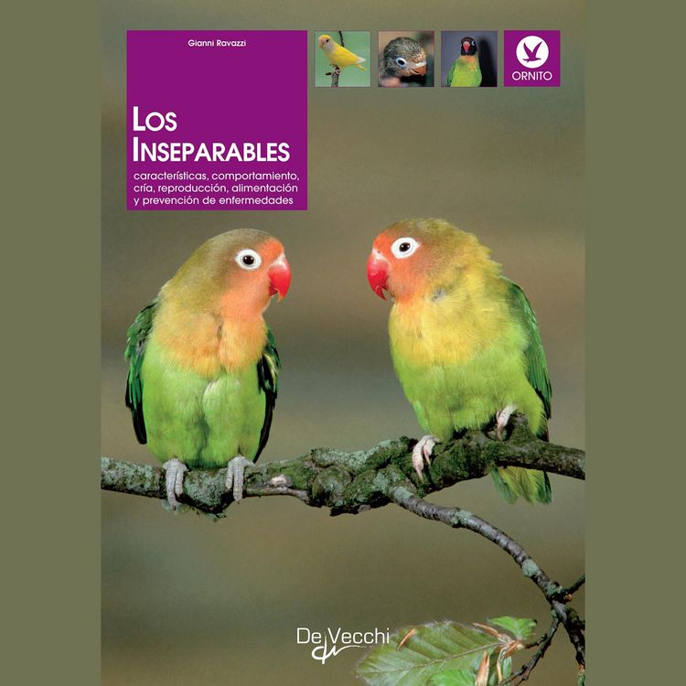 Produktbild: Los inseparables