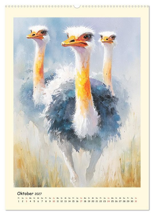 Produktbild: Strau&szlig;e. Afrikas gro&szlig;e Laufv&ouml;gel in Aquarelloptik (Wandkalender 2027 DIN A2 hoch), CALVENDO Monatskalender