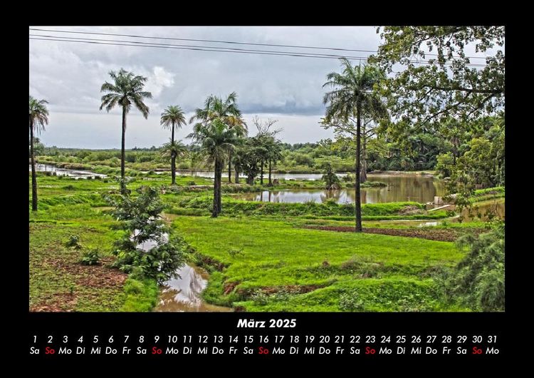 Produktbild: Palmentraum 2025 Fotokalender DIN A3