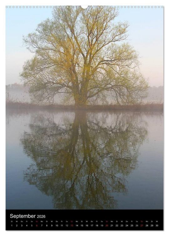 Produktbild: Gespiegelte Natur (Wandkalender 2026 DIN A2 hoch), CALVENDO Monatskalender
