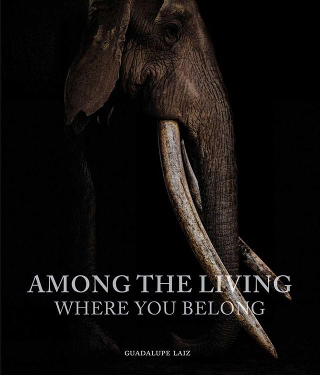 Produktbild: Among the Living