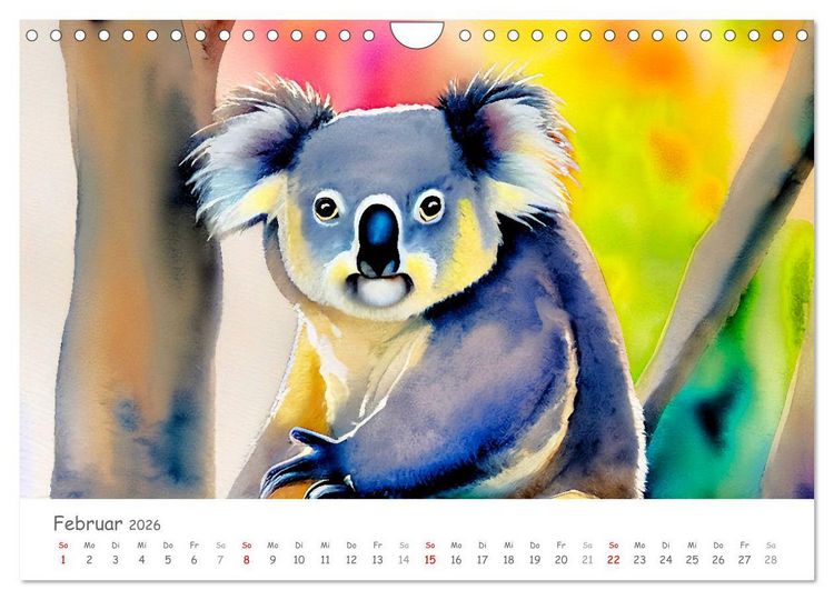 Produktbild: Der Koala 2026. Aschgrauer Beutelb&auml;r (Wandkalender 2026 DIN A4 quer), CALVENDO Monatskalender