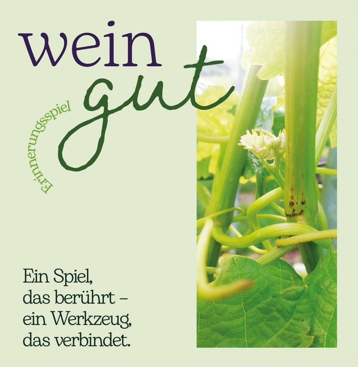 Produktbild: Wein gut Erinnerungspiel