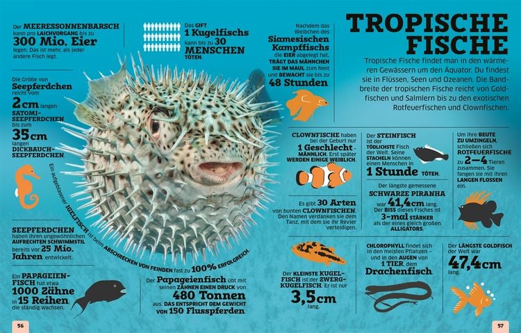Produktbild: Unsere Welt in Zahlen. Tiere