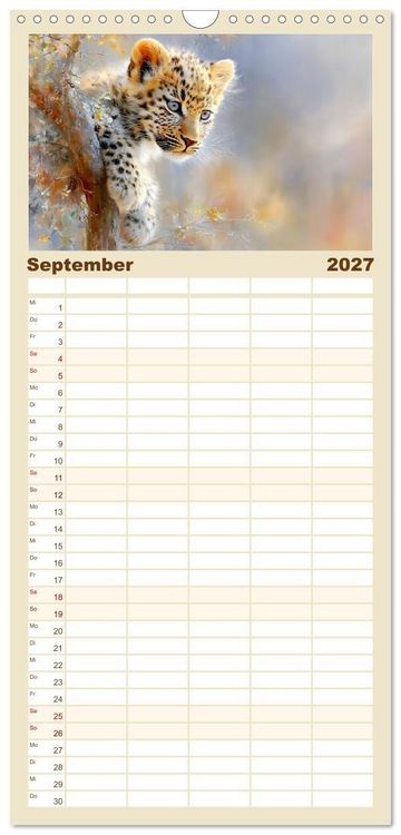 Produktbild: Familienplaner 2027 - Leopardenkinder. Afrikas Katzenbabys im Licht der Natur mit 5 Spalten (Wandkalender, 21 x 45 cm) CALVENDO