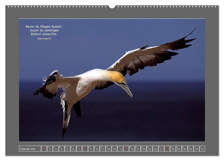 Produktbild: Naturwunder Neuseeland - in Bild und Text (Wandkalender 2026 DIN A2 quer), CALVENDO Monatskalender