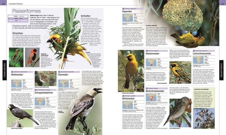 Produktbild: V&ouml;gel
