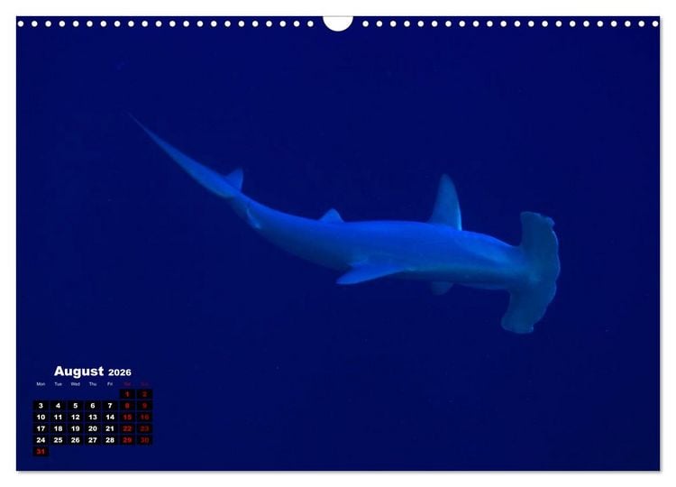 Produktbild: Magical Underwater World (Wall Calendar 2026 DIN A3 landscape), CALVENDO 12 Month Wall Calendar