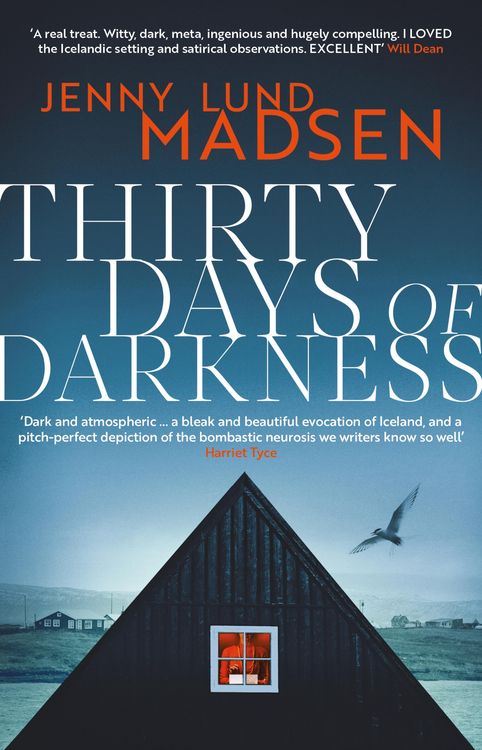 Produktbild: Thirty Days of Darkness: This year's most chilling, twisty, darkly funny DEBUT thriller...