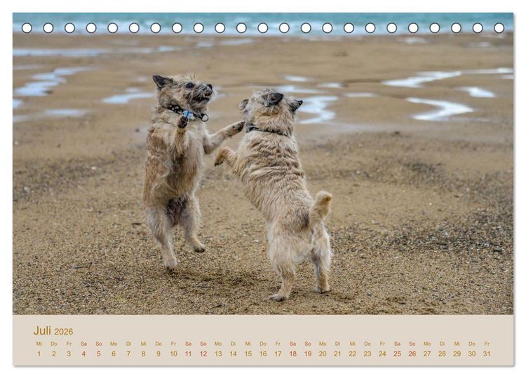Produktbild: Cairns Forever (Tischkalender 2026 DIN A5 quer), CALVENDO Monatskalender