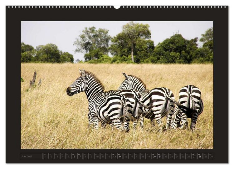 Produktbild: Kenia (hochwertiger Premium Wandkalender 2026 DIN A2 quer), Kunstdruck in Hochglanz