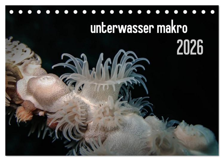 Produktbild: unterwasser makro 2026 (Tischkalender 2026 DIN A5 quer), CALVENDO Monatskalender