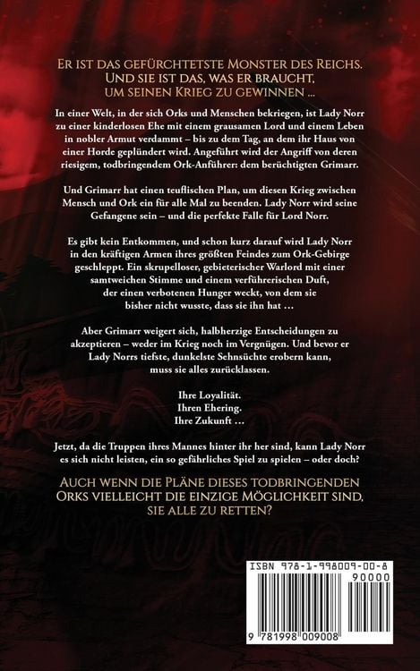 Produktbild: Die Lady und der Ork