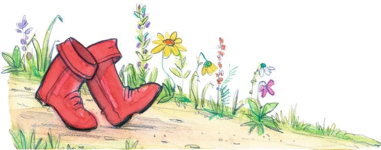 Produktbild: Prinzessin Lillifee und das verzauberte M&auml;rchenbuch