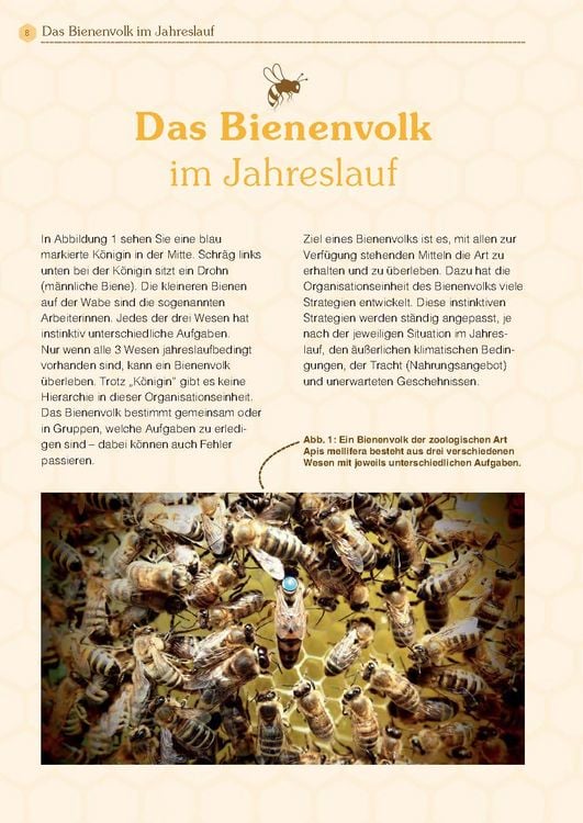 Produktbild: Mit Bienen die Welt retten