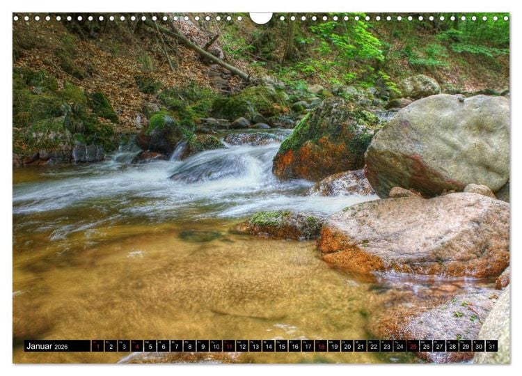 Produktbild: Verzauberter Harz (Wandkalender 2026 DIN A3 quer), CALVENDO Monatskalender