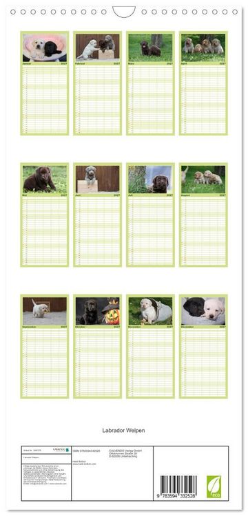 Produktbild: Familienplaner 2027 - Labrador Welpen mit 5 Spalten (Wandkalender, 21 x 45 cm) CALVENDO
