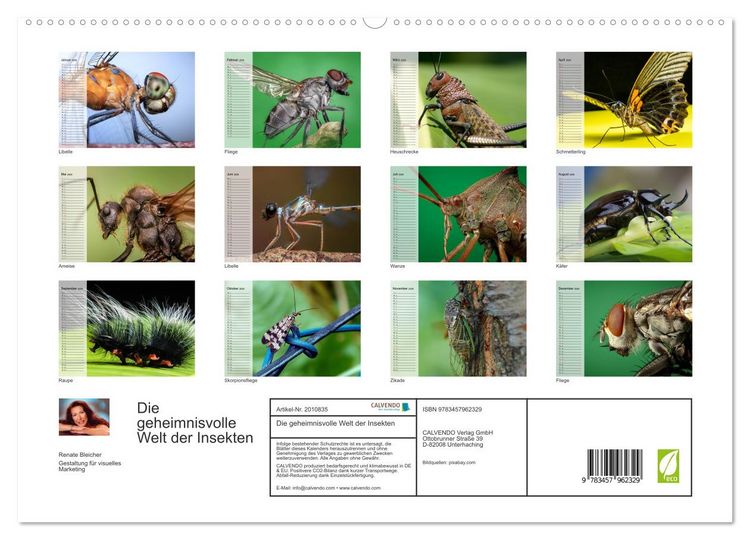 Produktbild: Die geheimnisvolle Welt der Insekten (hochwertiger Premium Wandkalender 2026 DIN A2 quer), Kunstdruck in Hochglanz