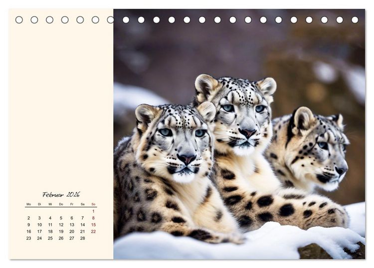 Produktbild: Im Reich der Schneeleoparden (Tischkalender 2026 DIN A5 quer), CALVENDO Monatskalender