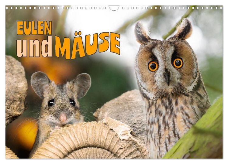 Produktbild: Eulen und M&auml;use (Wandkalender 2026 DIN A3 quer), CALVENDO Monatskalender