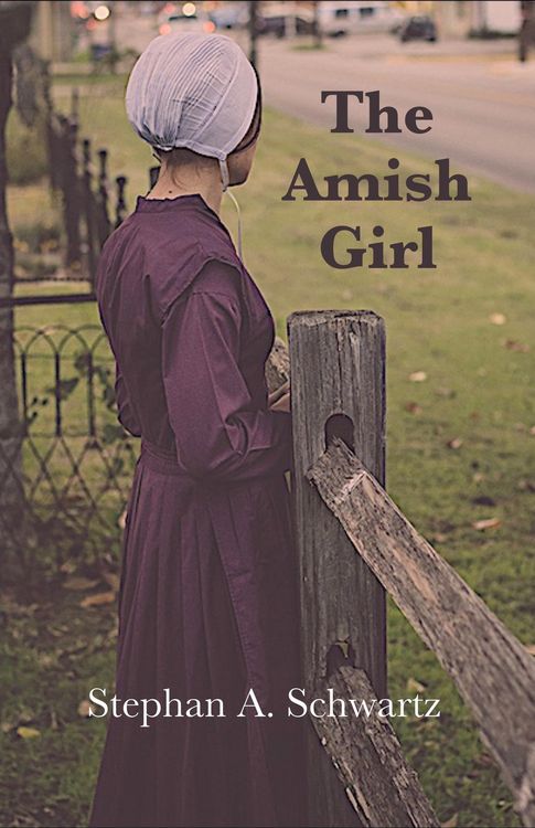 Produktbild: The Amish Girl - A Novel of Death and Consciousness