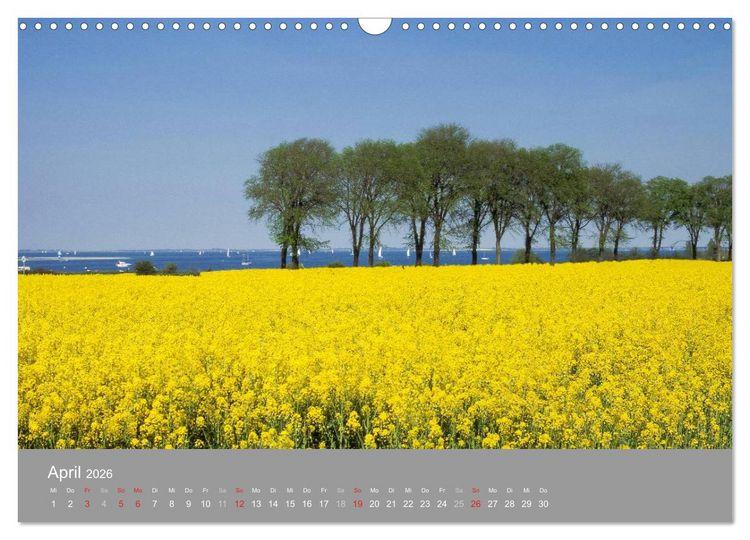 Produktbild: Blick auf die Nord-und Ostsee (Wandkalender 2026 DIN A3 quer), CALVENDO Monatskalender
